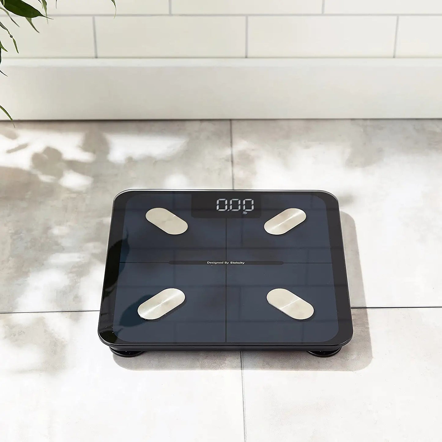 Etekcity Smart Scale for Body Weight